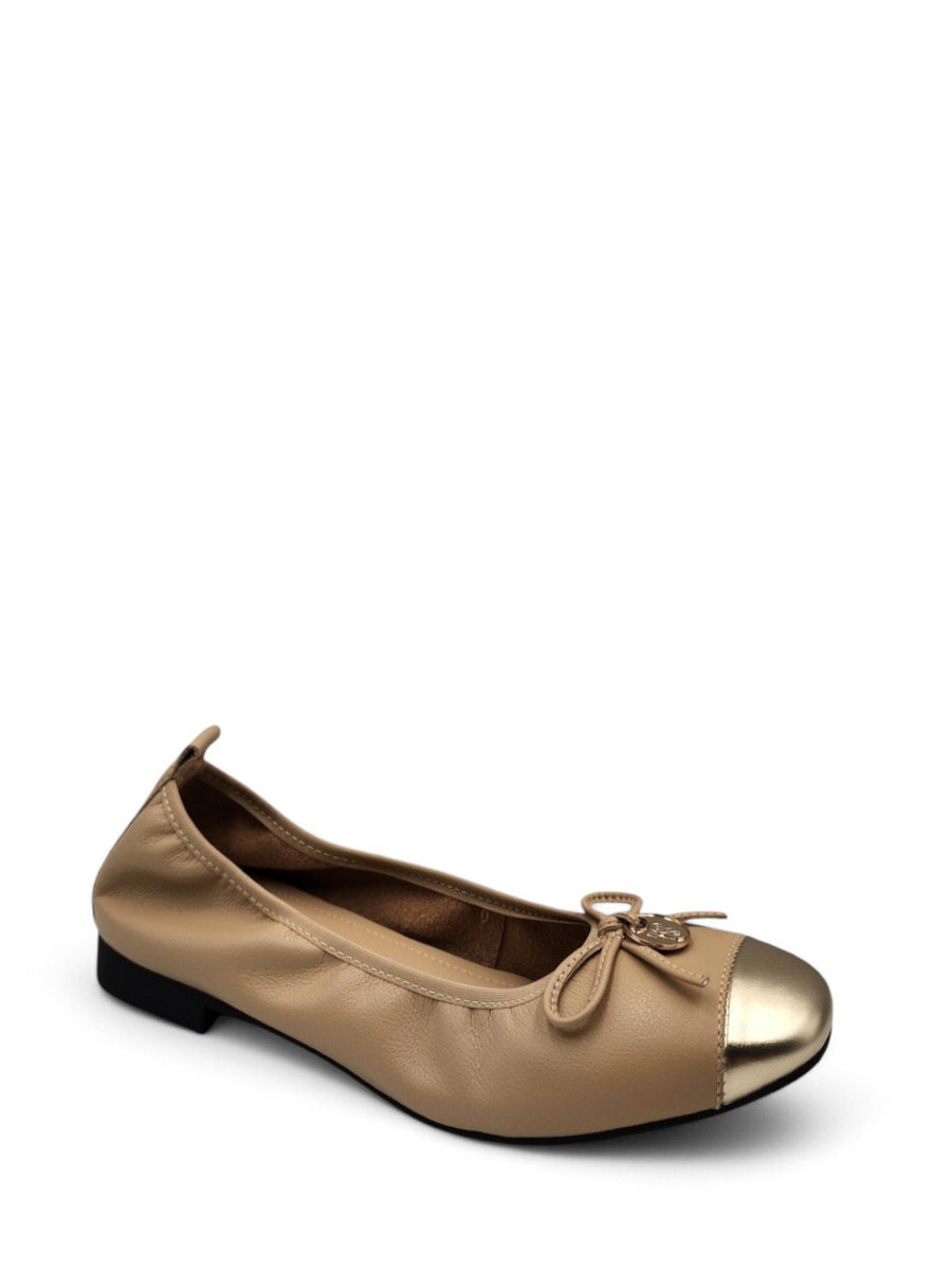 STACCATO – Solelovers STACCATO – Solelovers